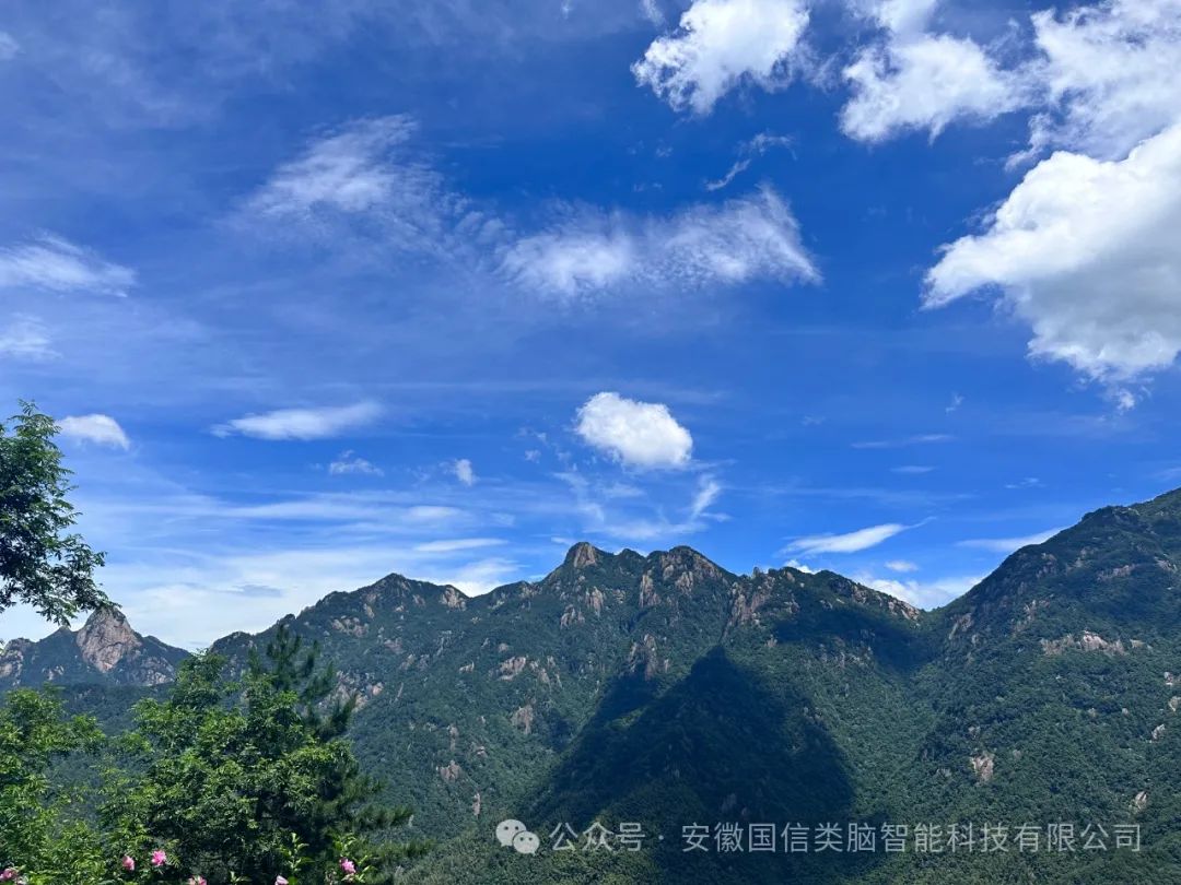 携手同行，，共赏九华风光-安徽Z6尊龙智能科技有限公司员工活动(图1)