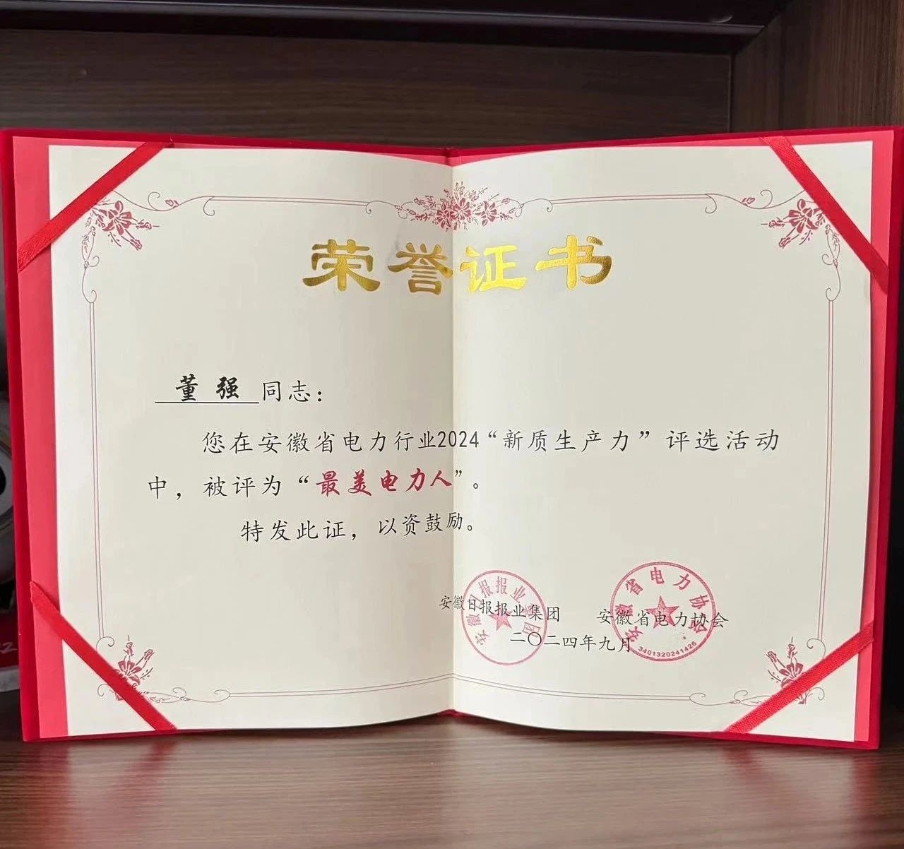 热烈祝贺董强董事长荣获安徽省电力行业2024“最美电力人”称号(图2)